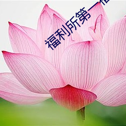 福利所(suǒ)第一福利