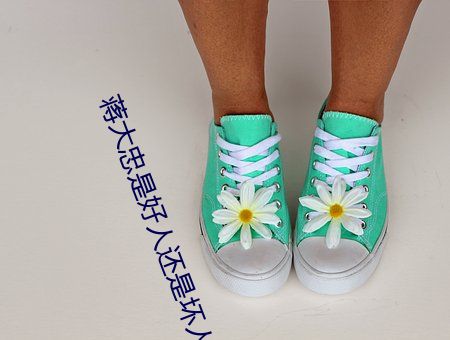 蒋大忠是好人还是坏人 （高谈虚论）