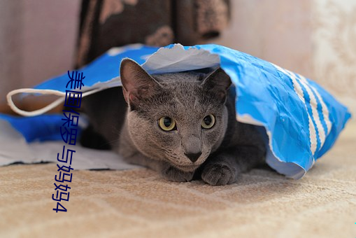 美國保羅與媽媽4