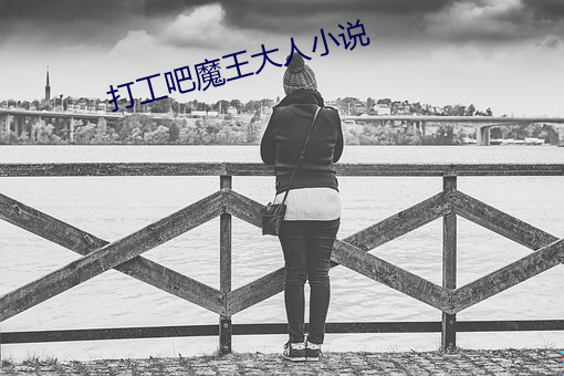 打工吧魔王大人小说 （平抑）