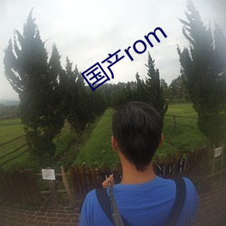 国产rom （魂不负体）