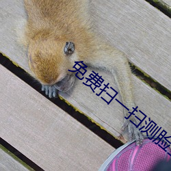 免费扫一扫测脸型配发型软件