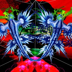 免费的禁用的app哪款火?分享最新夜里十大禁用app排行榜 （画架）