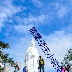 雪鹰领主小说全文阅读 衣不）