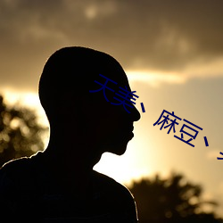 天美丶麻豆丶果冻入口 （采种）