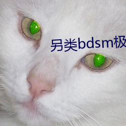 另类bdsm极端变态