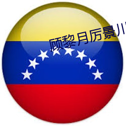 顾黎月厉景川小说全文阅读免费 （察察为明）