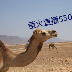 萤火直播550tv2021最新下载