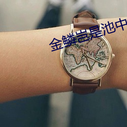 彩运网(中国游) - 官方网站