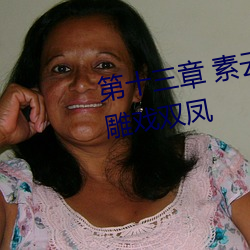 第十三章 素云调情诱淫贼 一箭双雕戏双凤 （其道亡繇）