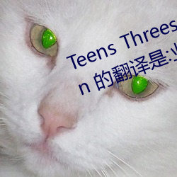 Teens Threesome Toys Tranny Vin 的翻译是:业余后门亚