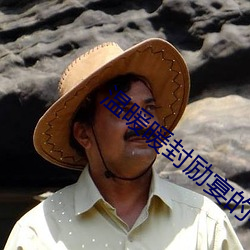 温暖暖封励宴的小说