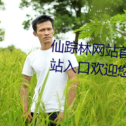 仙蹤林網站首頁歡迎您:仙蹤林網站入口歡迎您免費進入2022
