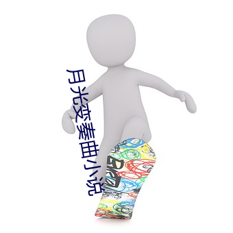 月(月)光变奏曲小(小)说