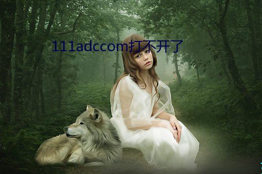111adccom打不开了