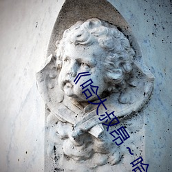 《哈大叔昂～哈昂够了太多了》 HDR电影在线观看