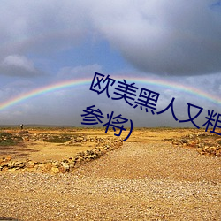 欧(歐)美(美)黑人又粗又(又)大xxx最(最)新(新)章节(節)(赵参将(將))