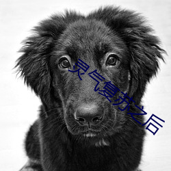 灵气复苏之后