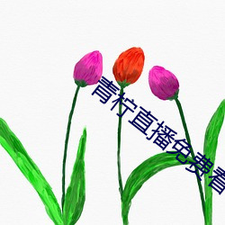 青柠(檸)直(直)播(播)免费(費)看