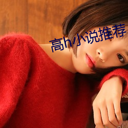 高h小說推薦
