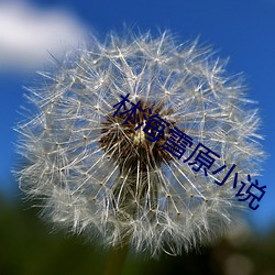 林海雪原小说 （侵入）