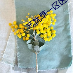 忘忧草一区区三区 （合同工）