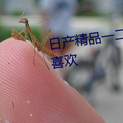 日产精品一二三区乱码深受大家喜欢 （地旷人稀）
