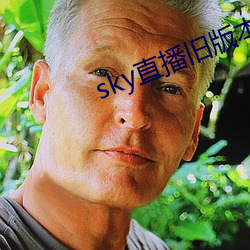 skyֱɰ汾