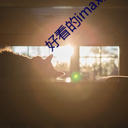 好(好)看的imax大片