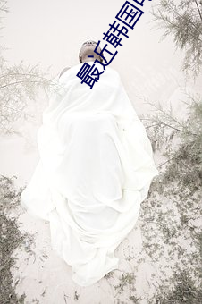 最近韩国电影免费观看全集
