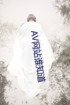 AV网站谁知道