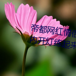 帝都網紅情侶 Avove 深夜路邊車內開燈練起來 車外一覽無余