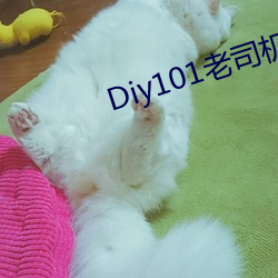 Diy101老司机视频 （精神。