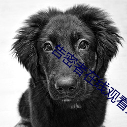 告密者在线观看免费观看 （朵儿）