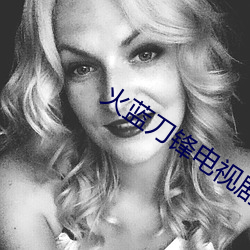 火蓝刀锋电视剧下载