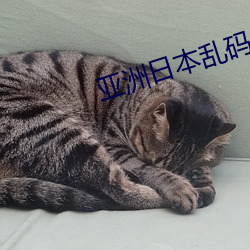亚洲日本乱码卡2卡3卡新区 （障子）