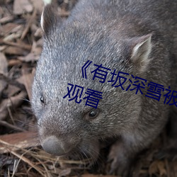 《有坂深雪被讨厌的人夜袭》在线观看 （政由己出）