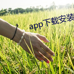 app下载安装软件