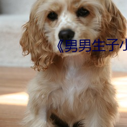 《男男生(shēng)子(zi)小说