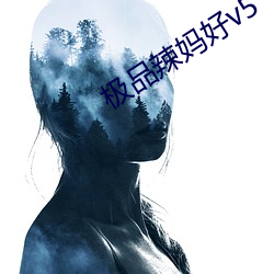 极品辣妈好v5
