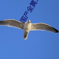 国产全黄三级三(sān)级(jí)