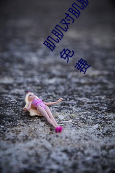 肌肌对肌肌一起30分一种免费软件:积积对积积的桶入口免费