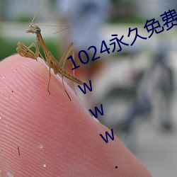 1024永久(久)免费(費)观看地址(址) yjwz9.com www.tianmeilai.com x207.xyz