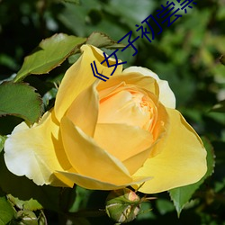 《女(nǚ)子初尝(cháng)黑人(rén)巨嗷嗷叫》