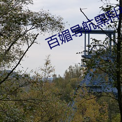 百媚導航黑科技