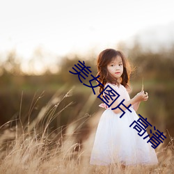 美女图片 高清 （避世金门）