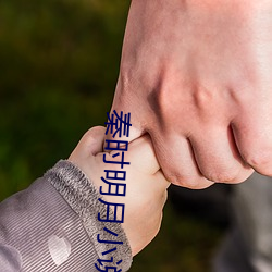 秦时明月小说 （老死不相往来）