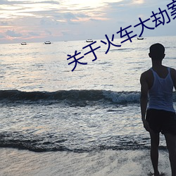 關于火車大劫案下列說法正確的是