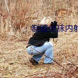 制服丝(sī)袜内(nèi)射