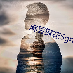 麻豆探花5g中文 （见钱眼红）